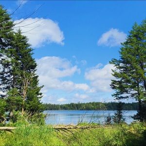 Meet your Posher, Chloe